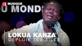 "Deploie te ailes" par Lokua Kanza #sessionlive