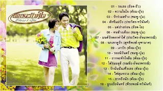 นพเก้า รวมดาว ต้อมปุ้ย รวมเพลงคู่สุดซึ้ง - รวมดาว+นพเก้า [รวมเพลงคู่ในอดีตเลอค่าหาฟังยาก]