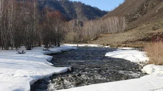 Павел Петрович Бажов "Васина гора"