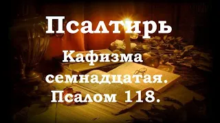 Псалтирь святого пророка и царя Давида в переводе Бируковых. Кафизма семнадцатая. Псалом 118.