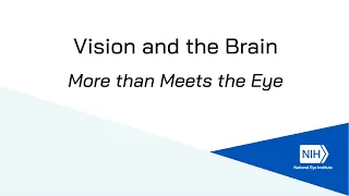 Vision and the Brain: More than Meets the Eye