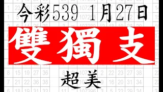 【今彩539神算】1月27日 今彩539 雙獨支