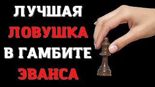 Лучшая ЛОВУШКА в гамбите Эванса | Шахматные ловушки