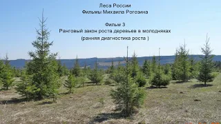 3  Закон Маслакова, о работе в Экселе,  37 мин