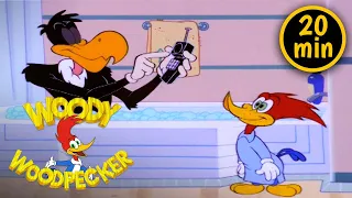 Woody's Roommate | 3 Full Episodes | Woody Woodpecker