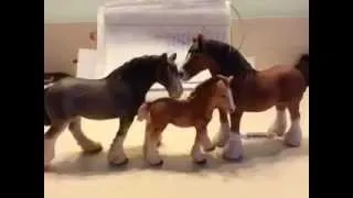 Schleich обзор по лошадкам (4 часть)