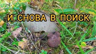 Коп по войне. Поиск бойцов РККА. Фильм 207.