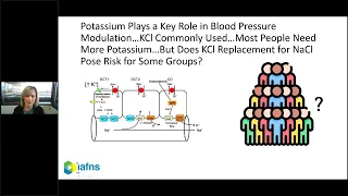 Benefits of Potassium Substitution for Public Health