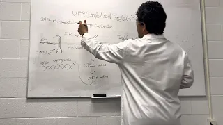 UPR (Unfolded protein response) - IREA1 alpha signaling #Code: 14