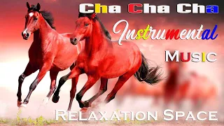 Greatest Relaxing Music - Non-Stop Cha Cha Cha Guitar Music - Best Instrumental Music 2022