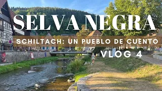 VLOG128. SCHILTACH 🏡  ESTE SITIO ES DE CUENTO 🌺🍃🌺🍃😍