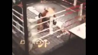 OTTMAN AZAITAR VS PATRICK TALMON FULL FIGHT