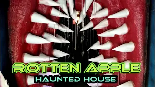 Haunted House Ideas - Rotten Apple Home Haunt Walkthrough Tour - DIY Halloween Props