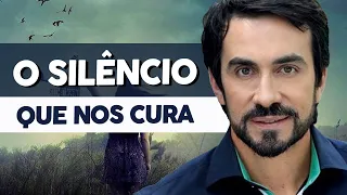 O SILÊNCIO QUE NOS CURA | PE. FÁBIO DE MELO (Motivação Cristã ✞)