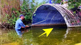 The STRANGEST MONSTER is in a CITY POND?!! (UNREAL)