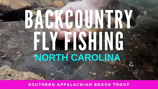 Backpacking and Fly Fishing in Western North Carolina (Wild Brook Trout)