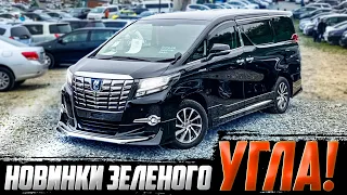 Авторынок Зелёный угол август 🇯🇵 |   авто в наличии 😍🔥