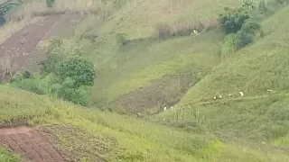 ALERTE ! POPULATION VIDMINOVA AU SUD-KIVU PAR CRAINTE DES TERRORISTES RWANDAIS M23-RDF/AFC