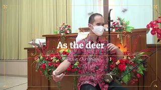 as the deer - erhu instrumental cover by Eka Christian