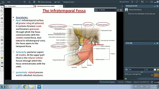 Anatomy of the Infratemporal Fossa - Dr. Ahmed Farid