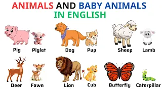 English Vocabulary | Animals And Baby Animals Names | Animals Name | Learn English | Esl