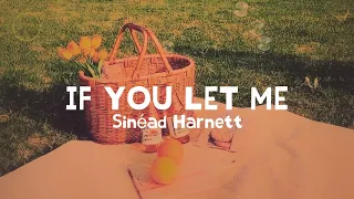 Sinéad Harnett - If You Let Me (lyrics)