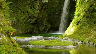 【自然の音】滝壺の情景 / Nature Sounds – Scenery of the Waterfall Basin