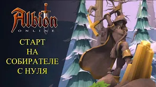 🔴Albion online : 🔥СТАРТ С НУЛЯ НА СОБИРАТЕЛЕ🔥 КАК ФАРМИТЬ ?