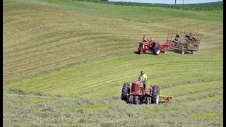 Baling Hay on a Small Dairy Farm  l  Small Squares l  2nd Crop 2021 l  Dairy Farming in Wisconsin