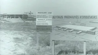 Alytaus miesto augimas (1966)