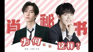 [EN/KR/TH/VN Sub]【王一博 Wang Yibo | 肖战 Xiao Zhan】【博君一肖】肖秘书为何这样