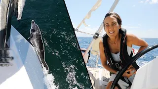 DOLPHINS Try and SAVE OUR YACHT | Tranquilo Sailing Around the World | Ep.108