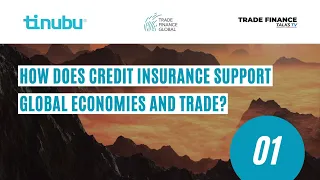 1 - How does trade credit insurance support global economies?