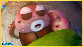 LARVA FULL EPISODE: HAPPY FAMILY | CARTOONS COMEDY VIDEO NEW VERSION | THE BEST OF FUNNY CARTOON BOX