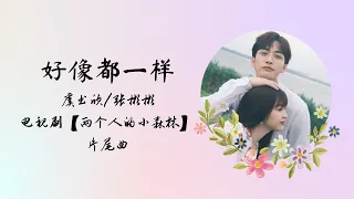 【动态歌词】好像都一样 | 虞书欣 Esther Yu 张彬彬 Vin Zhang | 电视剧【两个人的小森林 A Romance of a Little Forest】 片尾曲 OST 30分钟循环