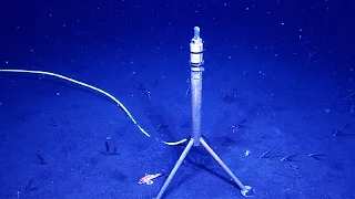 7 Interesting Deep Ocean Sounds Recorded on Hydrophones