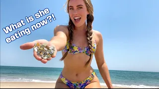 YOU WON'T BELIEVE HOW EASY THESE ARE TO FIND! Catch + Cook Wild Coquina Clam Chowder Recipe on Beach