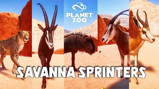 Cheetah, Sable Antelope, Blue Wildebeest, Scimitar-Horned Oryx, Springbok | Planet Zoo Animal Race