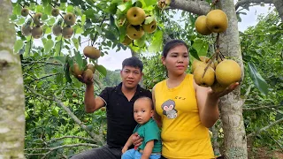 VIDEO FULL: 200 Days of Fruit Garden Harvest - go to the market - Gardening | Hà Tòn Chài