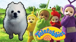 TELETUBBIES em CACHORRÊS | NOSTALGIA