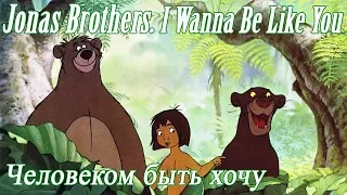 Jonas Brothers. I Wanna Be Like You. Перевод. Субтитры