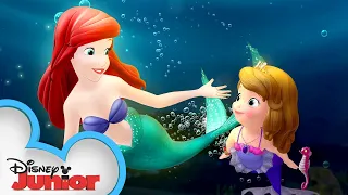 Sofia Meets Ariel! 🐟| Sofia the First | Disney Junior