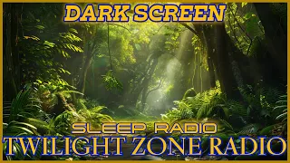 Sleep Steady Secrets / Twilight Zone Radio Dramas / Sleep Radio / Dark Screen