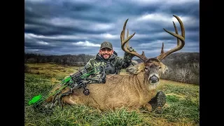 Chad Mendes Tags Out On Another GIANT Ohio Whitetail!!