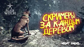 В ЛЕСУ ЖИВЕТ КТО-ТОПРОХОЖДЕНИЕ ВЕДЬМА ИЗ БЛЭР #2-Blair Witch