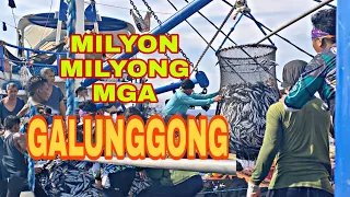 MILYON MILYONG GALUNGGONG HULI SA LAMBAT (PANGULONG FISHING).