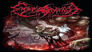 EMBRYOPATHIA -  EMBRYOLOGY (2020) 🔨 FULL ALBUM 🔨