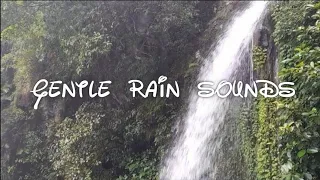 Gentle rain sounds | rain sounds for sleeping | the sound of rain relaxes the brain | rain ASMR