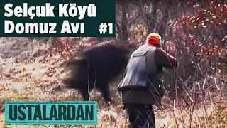 Selçuk Köyü Domuz Avı - 1.Bölüm  Ustalardan - Yaban Tv Wild boar Hunting Turkey