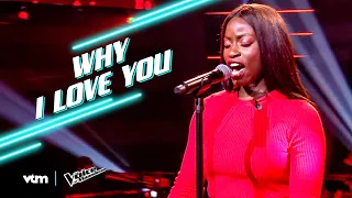 Sinay - 'Why I Love You' | The Knockouts | The Voice van Vlaanderen | VTM